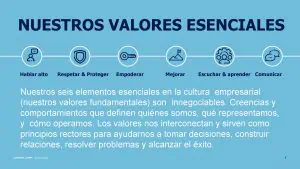 Lee más sobre el artículo Nuestros valores esenciales con Princess